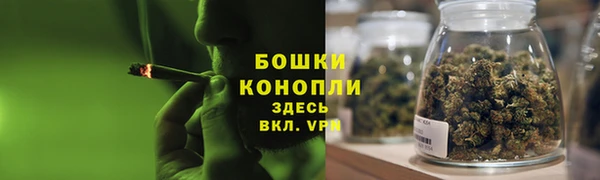ешки Бородино