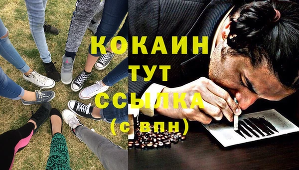 ешки Бородино
