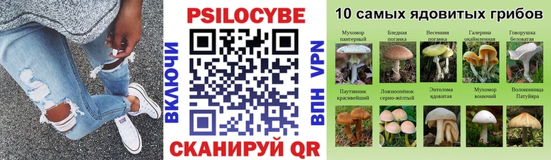 купить наркотик  Кашин  Галлюциногенные грибы Psilocybe 