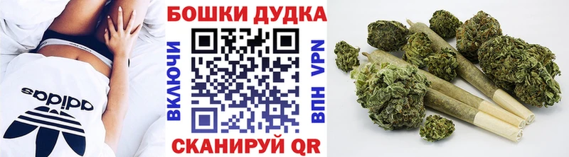 Бошки Шишки ГИДРОПОН  наркошоп  Кашин 